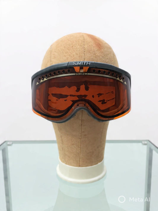 Ski Goggles