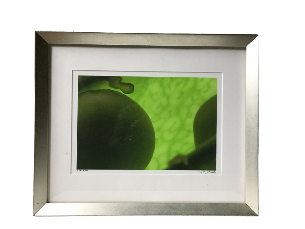 Fine art by Pat Little S+R Generalstore